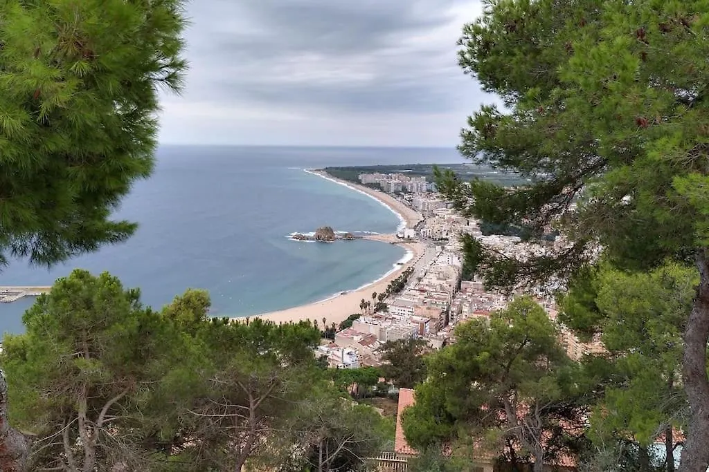 Apartment Precioso Apartamento A 250 Metros De La Playa. Blanes